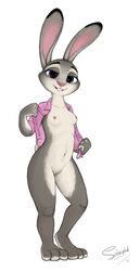judy hopps from disney by selenophile