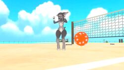 Beach Rule 34 Image