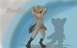 balls buda equine horse kiwa_flowcat male_only mammal muscular penis precum shadow text