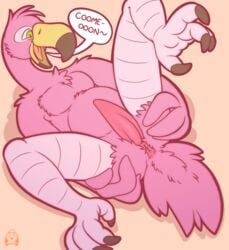 anthro anus avian bird demanding dialogue english_text erection flamingo inviting legs_up male male_only nude open_mouth penis pink_theme presenting presenting_anus puggy signature smile solo speech_bubble spread_legs spreading tapering_penis text winged_arms wings