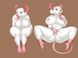 anthro ass big_breasts big_butt breasts cum erection feet female fur hair huge_breasts hyper hyper_breasts mammal masturbation mouse nikcesco nina_(nikcesco) nipples nude penis red_eyes red_fur rodent short_hair slightly_chubby solo thick_thighs white_hair