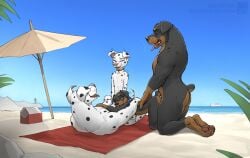 adam_wan beach black_body black_spots brown_body cartoony closed_eyes color colored dalmatian dobermann doggystyle dogs father_and_daughter fully_nude furry_only gangbang grabbing_from_behind heavy_breathing high high_resolution highres looking_at_partner male/female moaning_in_pleasure muscular_male no_humans open_mouth outdoors seaside size_difference straight tongue_out weight_difference white_body zaush