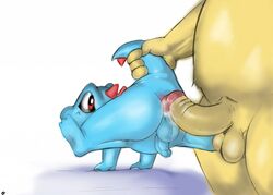 anthro anthrofied anus ass backsack balls big_dom_small_sub duo erection faceless_male flaccid humanoid_penis imminent_sex lifted lifted_by_tail looking_back male mammal nintendo penis perineum pokemon pokemon_(species) precum questionable_consent retracted_foreskin scalie seyrmo signature size_difference spread_legs spreading straight_hair totodile typhlosion uncut video_games yaoi