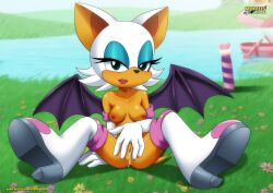 rouge the bat from sega by bbmbbf