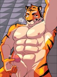 1boy abs anthro balls colored erection feline male male_only mammal muscular nude pecs penis precum solo tiger ujishiyo