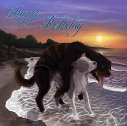 beach birthday canine canine chainedbirds feral mammal nova rottweiler seaside sex tongue tongue_out