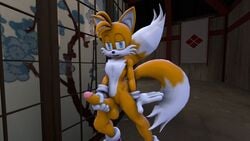 1boy 3d anthro balls canine darksorm erection fox fur furry_tail holding_penis male male_only mammal multiple_tails penis solo sonic_(series) tail tails