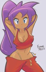 1girls female female_only fernal-red fernal-scarlet purple_hair shantae shantae_(character) solo tagme