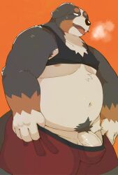 2024 anthro arufina_w belly big_belly black_body black_nose brown_body canid canine canis clothing domestic_dog genitals hi_res kemono male mammal orange_background overweight overweight_male penis simple_background solo tongue tongue_out underwear white_body