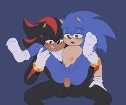 shadow the hedgehog from sega