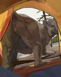 anatomically_correct anatomically_correct_genitalia anatomically_correct_vulva animal_genitalia animal_vulva anus bear belly butt claws cosmiclife female feral genitals hi_res inside_tent looking_at_viewer looking_back looking_back_at_viewer mammal multi_nipple nipples presenting presenting_hindquarters realistic_feral rear_view smile solo tent ursine_vulva vulva