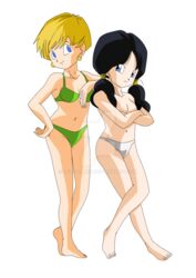 2girls arms_folded bikini dragon_ball dragon_ball_z erasa female female_only msjoelart multiple_girls topless twintails videl