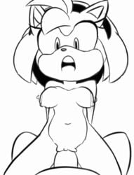 2016 amy_rose animated anthro areolae black_and_white black_nose bouncing_breasts breasts clitoris duo female furry headband hearlesssoul hedgehog looking_at_viewer male mammal navel nipples nude open_mouth penetration penis pov pussy sega sex short_hair sonic_(series) straight vaginal_penetration