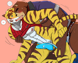 2016 abs anthro bear bearlovestiger13 biceps boxer_briefs bulge clothed clothing duo erection eyewear feline fur jacket juuichi_mikazuki kissing male mammal morenatsu muscular nipples open_mouth pecs pink_background simple_background tiger tongue tongue_out topless torahiko_(morenatsu) underwear underwear_aside underwear_sex yaoi