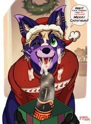 anthro blonde_hair bodily_fluids canid canine canis cheek_tuft christmas christmas_clothing christmas_headwear christmas_sweater christmas_topwear clothing cum cum_drip cum_on_face dialogue dick_in_a_box domestic_dog dripping ear_piercing ear_ring english_text facial_tuft first_person_view fur genital_fluids genital_piercing genitals gold_(metal) gold_cock_ring gold_jewelry hair hat headgear headwear hi_res holidays jewelry male male/male mammal murid murine one_eye_closed open_mouth open_smile penis penis_piercing philomaeus piercing prince_albert_piercing purple_body purple_fur rat ring_piercing rodent ryuzaki_(ryuzakitheumbreon) santa_hat smile solo_focus speech_bubble sweater text tongue tongue_out topwear tuft wide_eyed yuguni