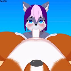 3d animated anthro belly blue_background blue_eyes duo ear_tuft erection faceless_male fellatio gay grey_fur hair ikugo ikugo_(artist) ikugo_(character) looking_at_viewer loop male male/male male_only navel nude oral orange_fur penis pov purple_hair sex simple_background slightly_chubby thick_thighs tuft