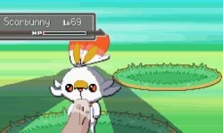 animated forced_oral furry oral_sex pixel_art pokemon pokephilia scorbunny