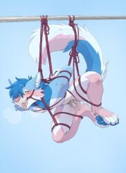 absurd_res anthro ari_dumpling bondage bondage bound canid canine canis chastity_cage chastity_device hi_res male mammal restraints rope rope_bondage solo suspension suspension_bondage tbdborzoi wolf