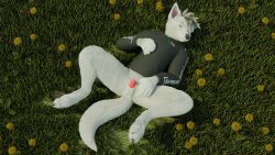 3d_(artwork) animal_genitalia animal_penis anthro balls bottomless canid canine canine_genitalia canine_penis canis clothed clothing collar dandelion digital_media_(artwork) digitigrade flower fox_the_hyena fur genitals grass grey_hair hair hi_res high-angle_view hoodie hoodie_only looking_at_viewer lying male mammal mediastinum nature nature_background on_back outside penis penis_tip plant presenting presenting_balls presenting_penis solo spread_legs spreading topwear topwear_only wearing_clothing_character white_body white_fur wolf