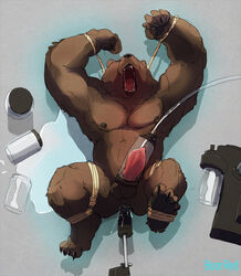 1boy anal bear boarred bondage bound breast_milking cum lactation male male_only mammal rope solo urethral