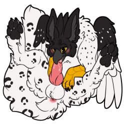 anus avian beak blush bodily_fluids feathered_wings feathers feral genitals gryphon knot mythological_avian mythological_creature mythology oral penis presenting_hindquaters solo symrea telegram_sticker white_body wings yellow_eyes