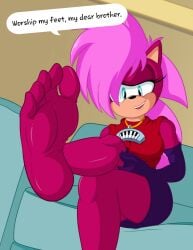 anthro_feet feet foot_fetish foot_play foot_worship sexy_feet sonia_the_hedgehog sonic_(series) sonic_the_hedgehog sonic_the_hedgehog_(series) sonic_underground