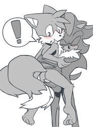 ! 4_toes anthro big_tail blush canine closed_eyes erection feet fluffy fluffy_tail fox fur greyscale hedgehog hindpaw humanoid_penis male mammal monochrome multi_tail open_mouth paws penis redhixen rexin shadow_the_hedgehog sonic_(series) tails toes yaoi