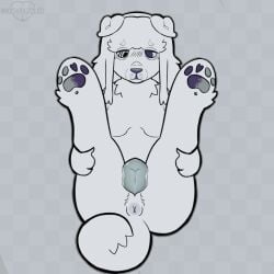 mochamuzzled mochamuzzled_(artist) anthro solo cuntboy transmale dog canine_pussy canine_genitalia paws tired tired_eyes puffy_anus puffy_pussy