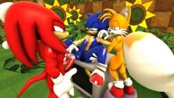 3boys 3d 3d_(artwork) anthro anthro_on_anthro balls big_tail blue_fur canid canine echidna erection flowers fluffy_tail fox furry furry_male furry_only gay genitals gloves hand_on_leg hedgehog interspecies knuckles_the_echidna large_tail looking_at_another lying_on_back male male/male/male male_only mammal mature mature_male miles_prower nude outdoors penis red_fur sega shoes sonic_(series) sonic_the_hedgehog sonic_the_hedgehog_(series) sunflower tail tails_the_fox team_sonic testicles white_gloves xabinotter yaoi yellow_skin