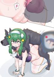 2d all_fours anal anal_sex anus blush blushing_profusely camera canine canine_on_human canine_penis clothing eyeliner female_on_feral femsub feral feral_on_female feral_on_human feral_penetrating feral_penetrating_human filming green_hair gritted_teeth highres human_female human_on_feral human_penetrated knot nervous nipple_bulge original original_character pale-skinned_female pale_skin pussy recording seiranaichi shocked small_breasts stockings submissive_human surprised thick_ass thighhighs uncensored vagina wide_hips yellow_eyes zoophilia
