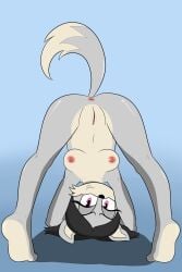 anus ass_in_air boobs breasts butt clitoris dark_hair eyelashes feet female_fox grey_fur kamikiller karen_jackson legs oc original_character pink_eyes pussy shadow shiny_butt simple_background smiling sonic_oc tail tip_toes tits upside_down vagina vixen white_fur