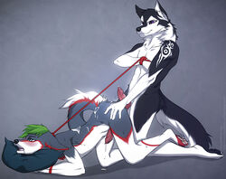 2016 angiewolf anthro bondage canine cum hair male mammal romantic_couple sex snowy yaoi