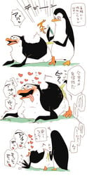 2boys anus avian bird dreamworks furry furry_only gay japanese_text kowalski madagascar_(series) male male_only penguin rico_(madagascar) simple_background speech_bubble text the_penguins_of_madagascar translation_request white_background