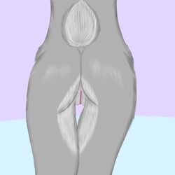 annonymouse anus disney hi_res judy_hopps lagomorph mammal pussy rabbit zootopia