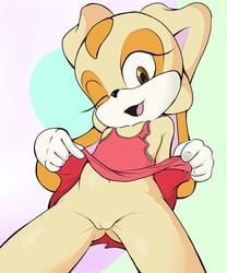 anthro bottomless clothed clothing clothing_lift cream_the_rabbit dress dress_lift female lagomorph looking_at_viewer mammal mdgusty one_eye_closed open_mouth pussy rabbit sonic_(series) young