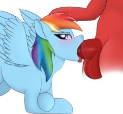 balls blush booponies deep_throat equine fellatio female friendship_is_magic horse male mammal my_little_pony oral oral_sex penis pony rainbow_dash_(mlp) saliva sex straight straight_hair throat_bulge wet