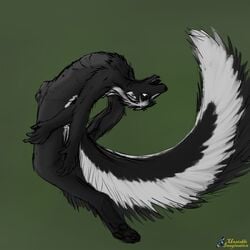 furry male mammal merging skunk transformation unstableimagination