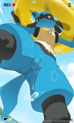 lucario from nintendo by bloodguard