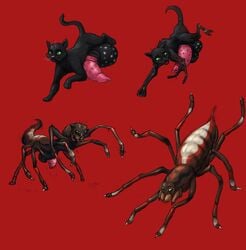 amethystlongcat animal_genitalia arachnid arthropod balls big_balls creepy feline feral huge_balls hyper hyper_balls hyper_penis male mammal nightmare_fuel open_mouth original original_character penis spider transformation