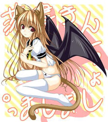 animal_ears bat_wings blue_panties bow_panties cat_ears demon_girl no_pants original panties school_uniform serafuku solo striped_panties succubus tail thighhighs underwear white_legwear white_thighhighs wings yumesato_makura