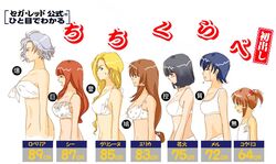 black_hair blonde_hair blue_hair bra brown_hair bust_chart chart ci_caprice coquelicot erica_fontaine flat_chest glycine_bleumer kitaoji_hanabi kitaooji_hanabi large_breasts lingerie lobelia_carlini long_hair medium_breasts mell_raison panties sakura_taisen sakura_taisen_iii sakura_wars short_hair silver_hair small_breasts translated translation_request underwear