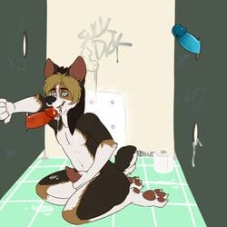 canine corgi cum cum_in_mouth cum_inside cum_on_leg glory_hole hindpaw kneeling male mammal masturbation oral paws peanutsatiety public queue ruska toilet yaoi