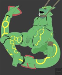 5_toes anthro asphyxiation barefoot bondage bound buibuiboota death feet flaccid game_freak killing male male_death male_only male_ryona nintendo paws penis plantigrade pokemon pokemon_(species) rayquaza scalie solo strangling teenager testicles toes young