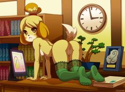 all_fours animal_crossing anthro ass bent_over black_eyes blonde_hair blush breasts canid canine canis clock clothed clothing desk female fur furry furry_only hair isabelle_(animal_crossing) legwear looking_at_viewer looking_back mammal mostly_nude naked nintendo nude on_desk presenting presenting_hindquarters presenting_pussy pussy raised_tail rear_view socks solo tail topless unknown_artist video_games yellow_fur