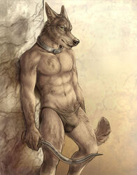 1boy black_underwear collar dagger furry golden_jackal jackal knife male male_only rukis solo underwear weapon