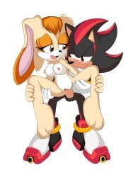 female j_nsfw shadow_the_hedgehog sonic_(series) sonic_the_hedgehog_(series) vanilla_the_rabbit