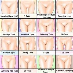 comparison diagram educational pussy shaved_pussy text