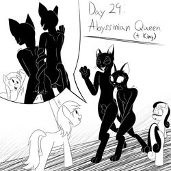 1:1 2021 abyssinian_king_(mlp) abyssinian_queen_(mlp) animal_genitalia anthro balls black_and_white black_body black_fur bonbon_(mlp) covering covering_crotch covering_self derpy_hooves domestic_cat embarrassed equid equine exhibitionism felid feline felis female feral finger_fuck fingering fingering_partner flat_chested friendship_is_magic fully_sheathed fur genitals gesture group hasbro hi_res himitsu horse male male/female mammal monochrome my_little_pony nude open_mouth open_smile pony public public_nudity public_sex sex sheath smile text vaginal_penetration waving