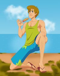 1boy beach clothing davey_devil green_tank_top human kneeling leg_hair male male_only muscular ocean outdoors sandals scooby-doo shaggy_rogers shorts solo solo_male water
