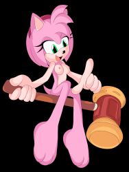 amy_rose j_nsfw sonic_(series) sonic_the_hedgehog_(series)